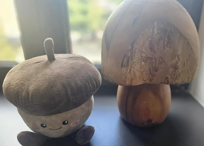 Falchenberch Apartmán