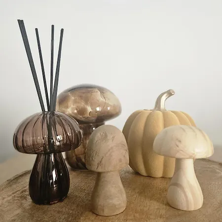 Appartement Falchenberch *